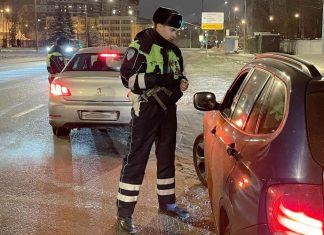 Тотальные проверки ГИБДД в праздники. Где будут останавливать