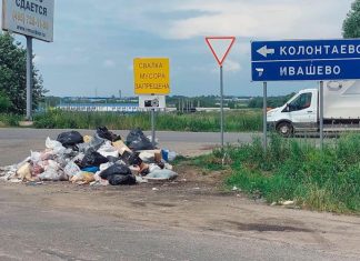 Мусорящих водителей будут штрафовать по камерам: когда система заработает