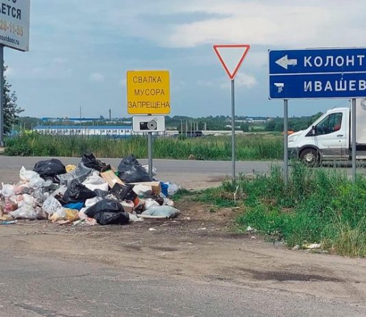 Мусорящих водителей будут штрафовать по камерам: когда система заработает