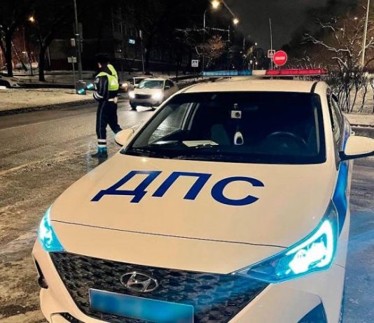 Тотальные проверки ГИБДД. Где остановят и что будут искать