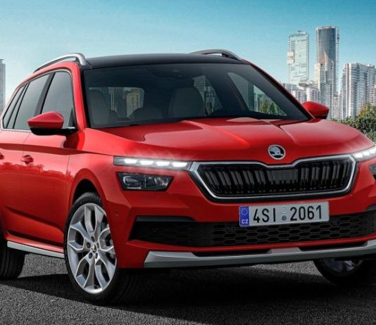 В Россию привезли кроссовер Skoda Kamiq за 2,5 млн руб.