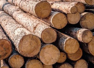 Часть бывшего завода Ford в Ленобласти арендовал производитель древесины