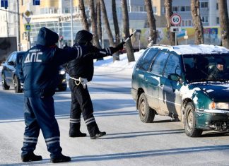 Досмотров от ГИБДД станет больше. Водителей предупредили о новых рейдах