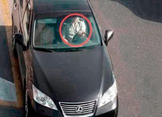 ГИБДД наказала водителя за непристегнутый ремень безопасности