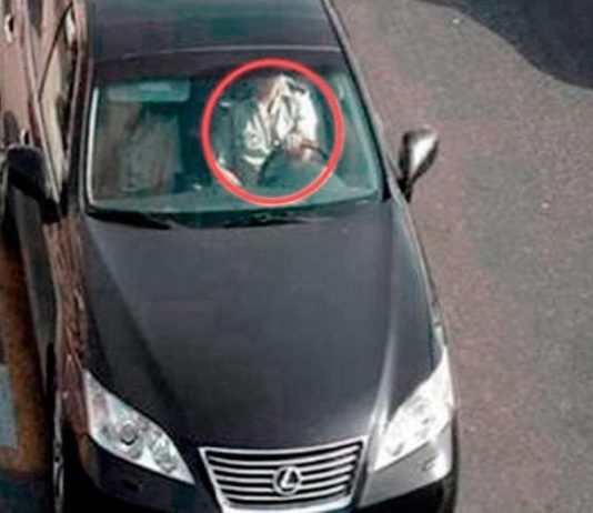 ГИБДД наказала водителя за непристегнутый ремень безопасности