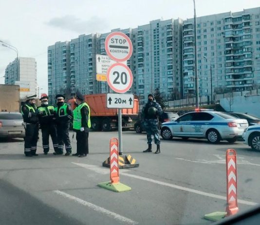 «Сплошная отработка». ГИБДД анонсировала тотальные проверки водителей