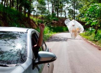 Производители пообещали научить камеры штрафовать мусорящих водителей