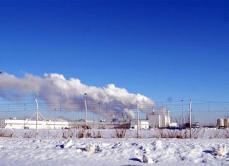 Что происходит на бывших заводах Hyundai и Toyota в России. Репортаж