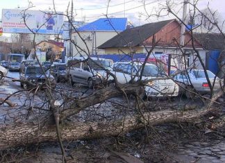 Киевлян предупредили об ураганном ветре — что стоит помнить водителям