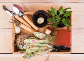 Промокоды на садовые инструменты: экономия для заботливого садовода