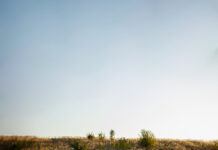 Как выбрать автомобиль: советы и рекомендации