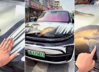Китаец установил в свой Li Auto L9 аквариум с живыми рыбами. Видео
