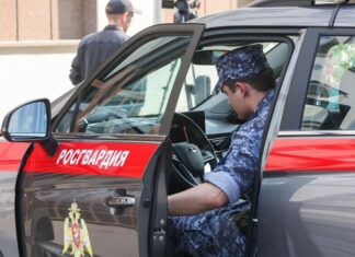 Силовики смогут бесплатно ездить по платным дорогам. Дума одобрила закон