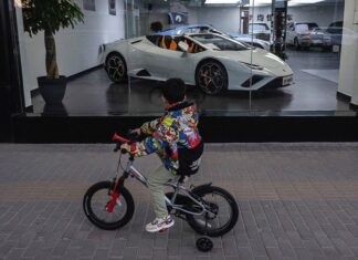 Lamborghini изменила курс. Что будет с V12 и при чем тут электрокары