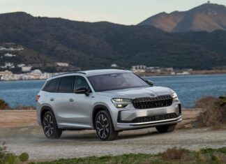 В Россию приехали Skoda Kodiaq казахстанской сборки. Взгляните на цены