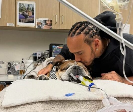 «Он впал в кому». Хэмилтон поделился тревожными новостями о состоянии Роско