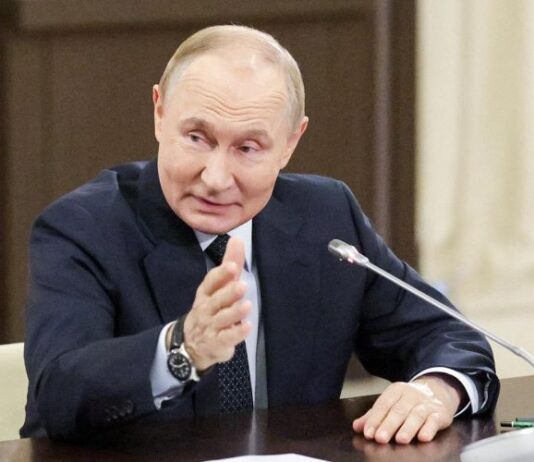 Путин высказался о продаже «красивых» номеров для машин через «Госуслуги»