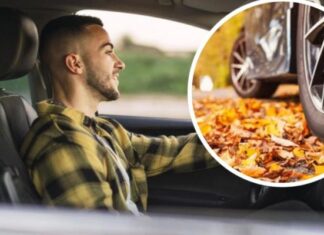 Почему осенью машины массово выходят из строя: мнение экспертов