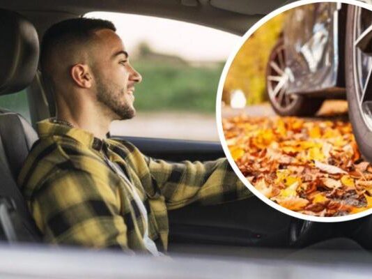 Почему осенью машины массово выходят из строя: мнение экспертов