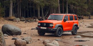 С каких иномарок пересаживаются на «китайцев». Отзывы водителей